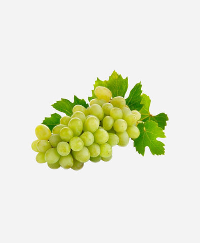 Grapes Green Globe